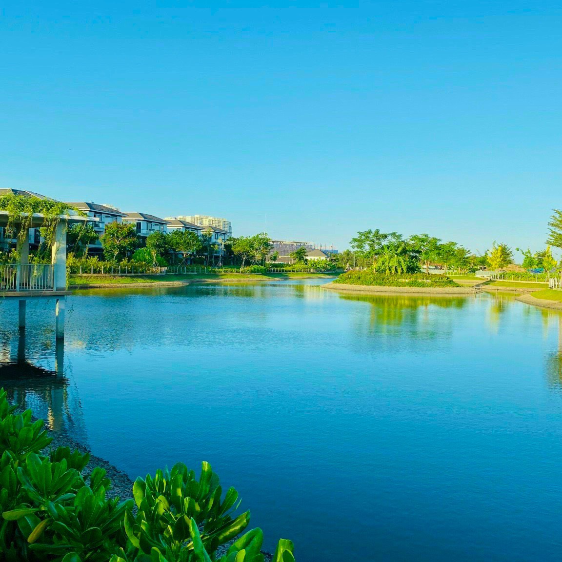 VŨ ÍCH ĐẠT - 0909 389 579